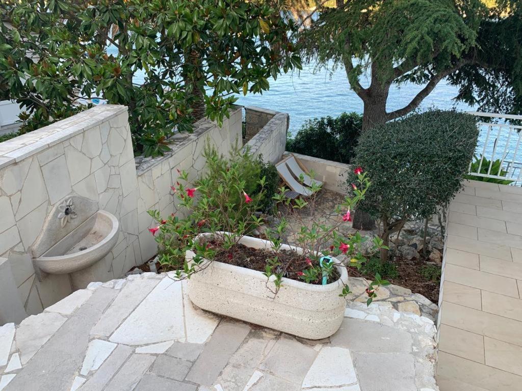 Studio Apartments More Korčula Dış mekan fotoğraf
